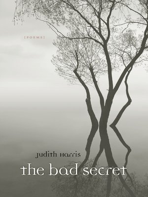 cover image of The Bad Secret